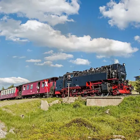 Hotel Harz Habichtstein Alexisbad