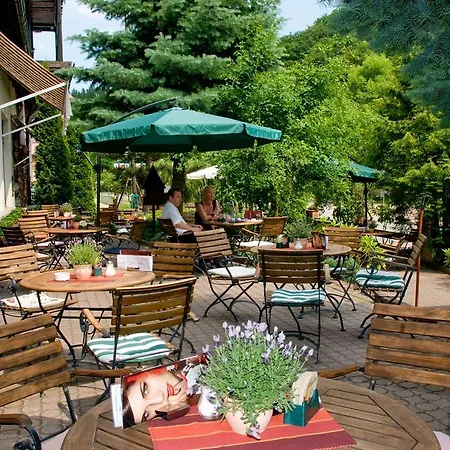 Hotel Harz Habichtstein