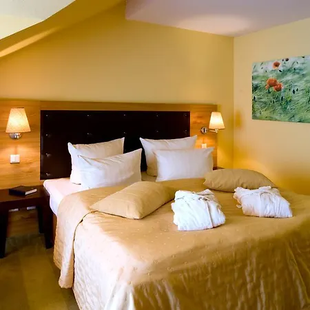 Harz Habichtstein Hotel 3*