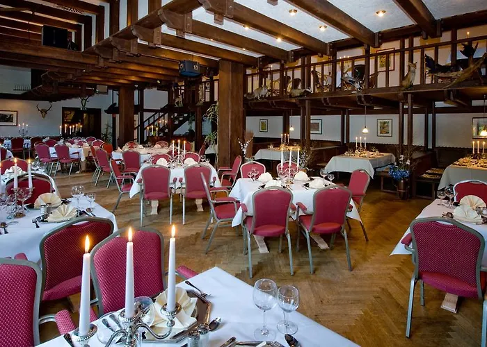 Hotel Harz Habichtstein 3*