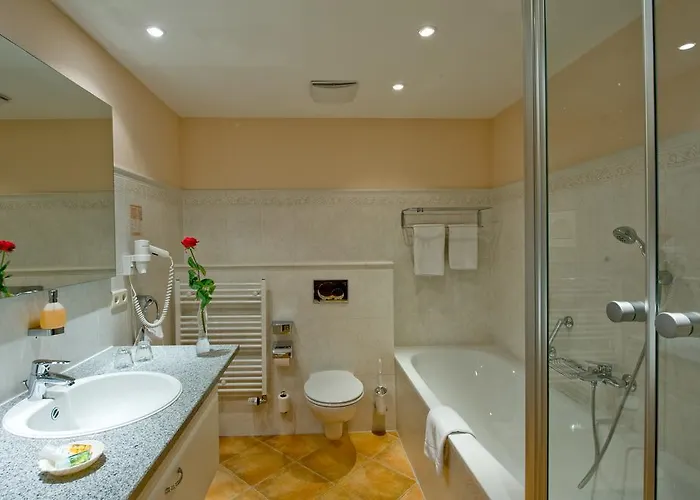 Hotel Harz Habichtstein 3*