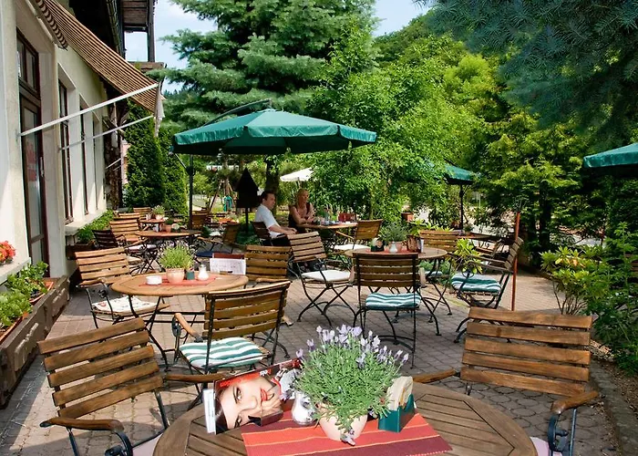 Hotel Harz Habichtstein